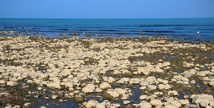 پدیده سنگ‌نما؛ مهمان موقت سواحل دریای مازندران