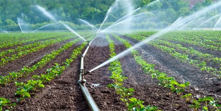 رکود در اجرای سیستم آبیاری تحت فشار به‌دلیل گرانی تجهیزات/ضرورت صدور مجوز آب‌ شیرین‌کن‌ها برای کشاورزان