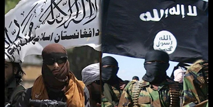 طالبان و داعش؛ دوست یا دشمن؟!