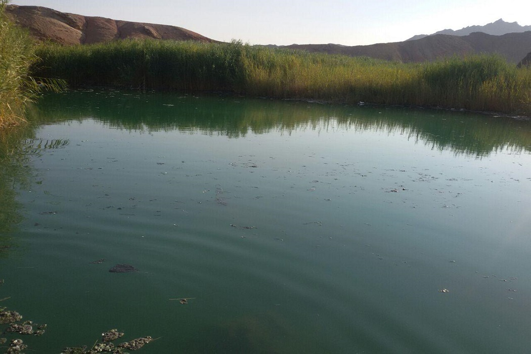 مطیعی: درهای کاروانسرای تاریخی سمنان را به روی مردم باز کنید