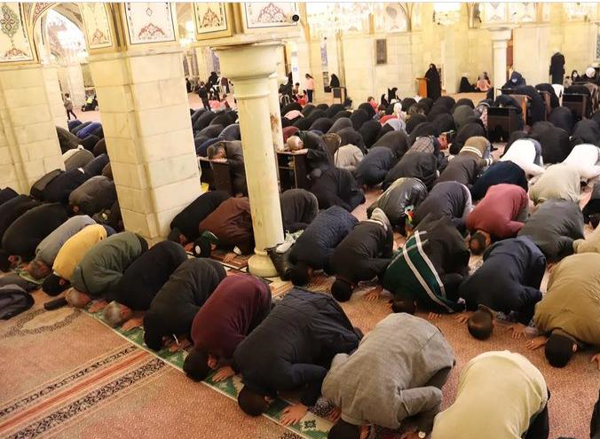 جشن میلاد امام حسین (ع) در حرم دخترش برگزار شد+عکس