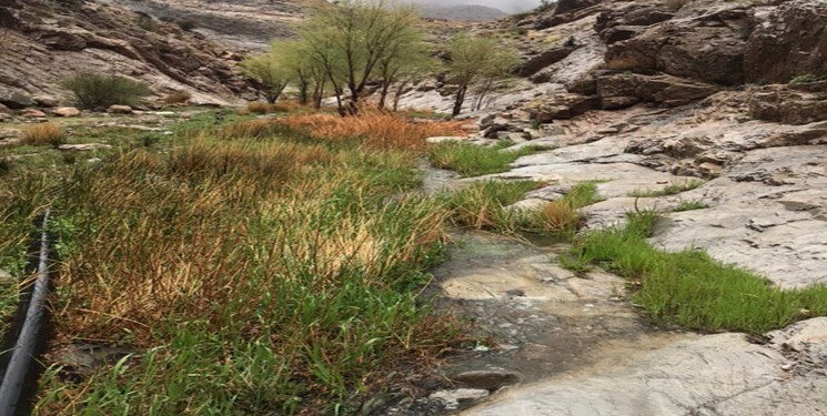 «دره‌رنج» رفسنجان روستایی که از دل رنج خشکسالی به آبادانی رسید