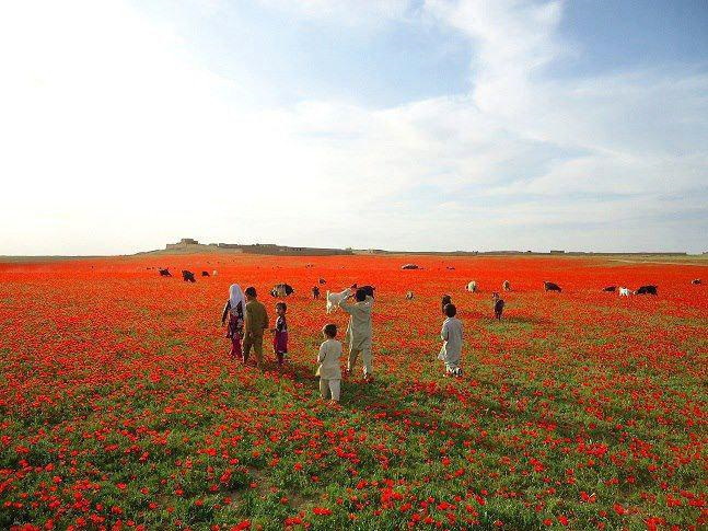 گزارش فارس از حال و هوای مردم افغانستان در آستانه جشن نوروز