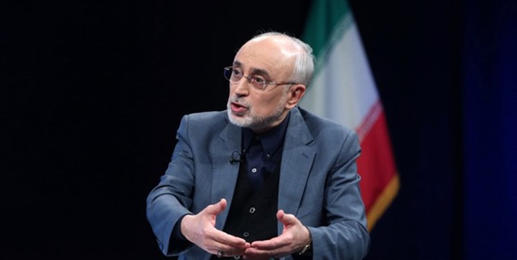 علی اکبر صالحی: اگر موضع منطقی ایران نبود، برجام فسخ شده بود