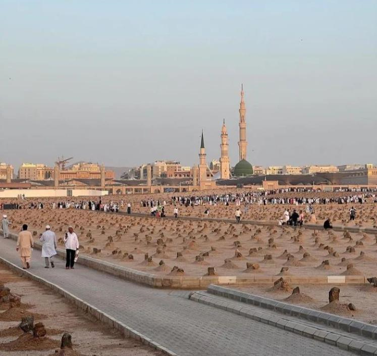 پاسخ امام حسن (ع) به معترضان صلح تحمیلی/ روی نگین انگشتر امام مجتبی (ع) چه اذکاری بود؟