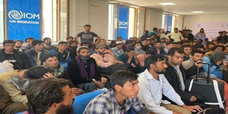 بازگشت نزدیک به ۶۰۰ مهاجر افغان از ایران