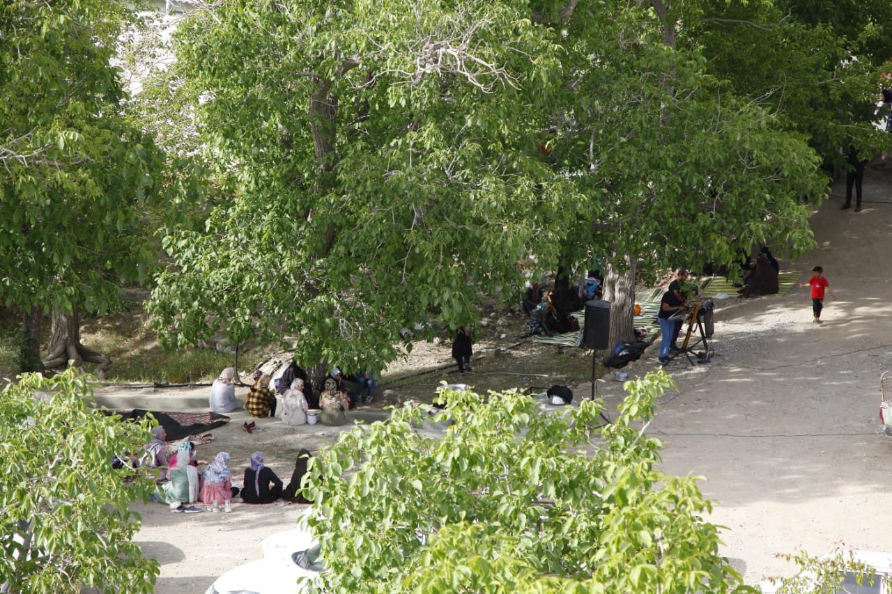 جشن «آش شیر» سنت دیرینه دامداران سیرجانی+عکس