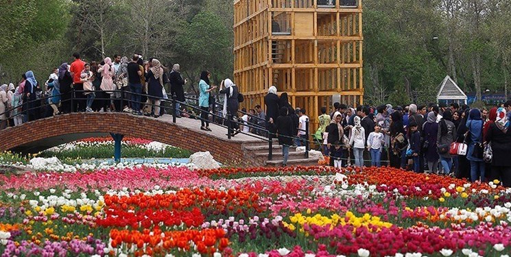جشنواره باغ گل آسارا افتتاح می شود