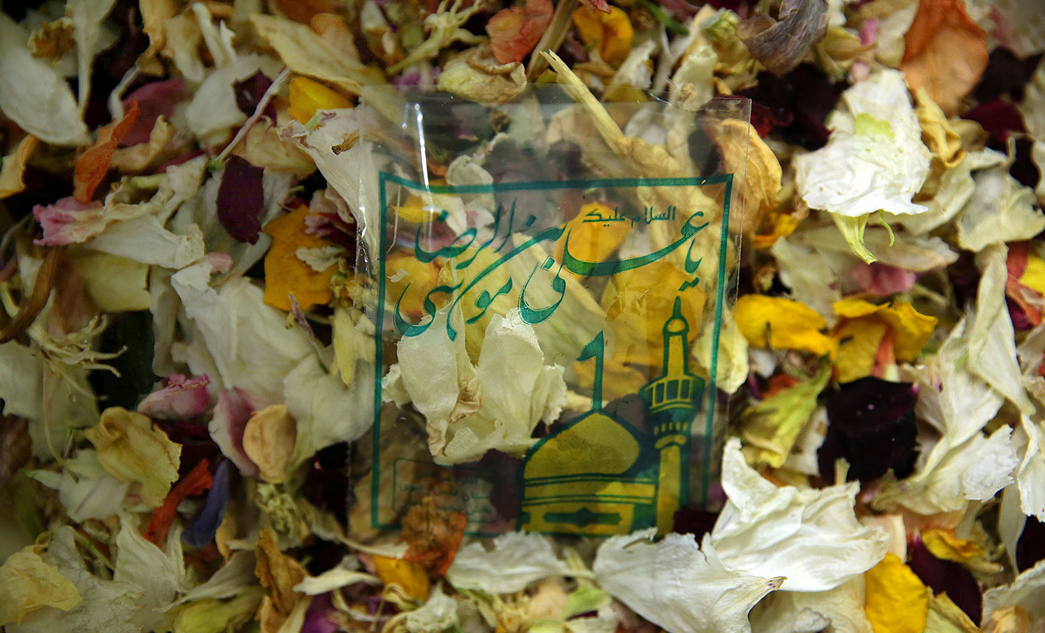 سرنوشت گل‌های ضریح نورانی امام رضا(ع)/ هدیه‌ای گران‌بها از امام مهربان+عکس و فیلم
