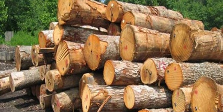 قاچاقچیان چوب در نظرآباد دستگیر شدند