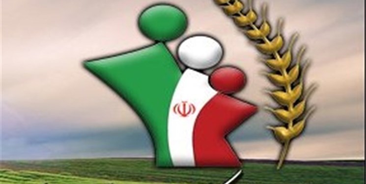 رونمایی از طرح ویژه بیمه خبرنگاران، هنرمندان و ورزشکاران در البرز