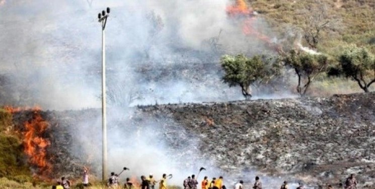 شهرک‌نشینان صهیونیست مزارع گندم فلسطینیان را آتش زدند