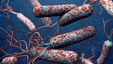شناسایی ۲ مورد ابتلا به وبا در استان همدان