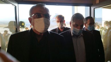 وزیر بهداشت: راهپیمایی اربعین در انتقال تجربیات پزشکی ایران به کشورهای همسایه کمک می کند