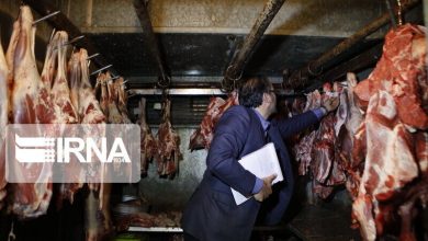 آلودگی لاشه‌های گوشت در کشتارگاه کرمان تایید نشد