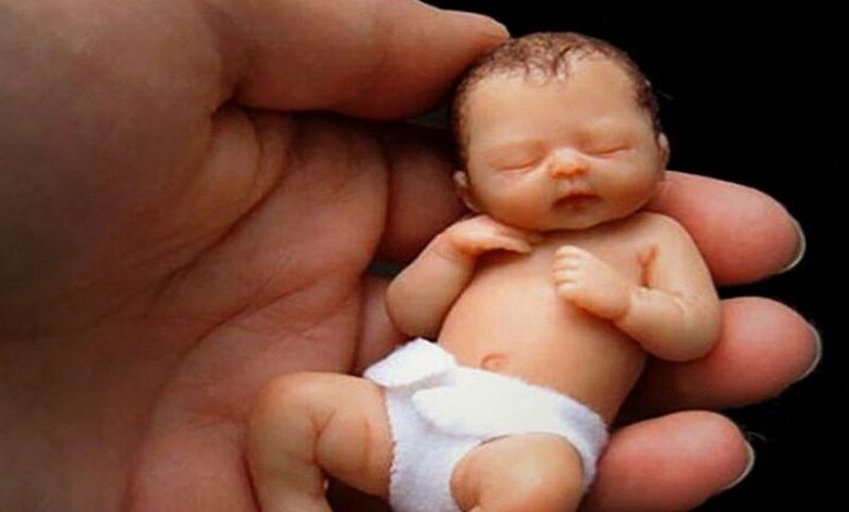 تولد ۴۲ نوزاد در کلینیک ناباروری سنندج