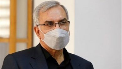 وزیر بهداشت: ایران آماده انتقال تجارب حوزه سلامت به کشورهای منطقه است