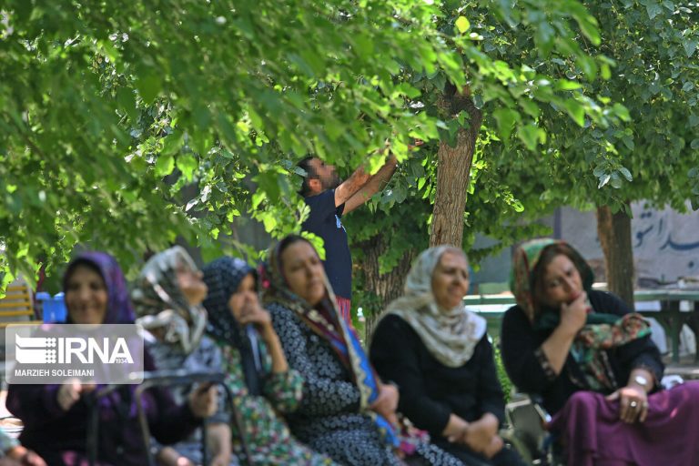 چالش سالمندی به یک ابر بحران تبدیل می‌شود