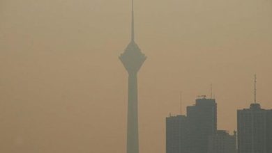 «ایران»، میزبان نشست بین‌المللی مقابله با گرد و غبار خواهد بود