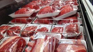 توزیع گوشت قرمز وارداتی در استان قزوین