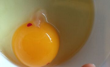 آیا لکه‌های قرمز و قهوه‌ای روی تخم‌مرغ خطرناک هستند؟