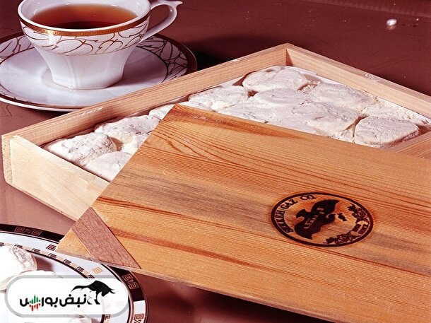 بزرگترین سهامدار عمده حقیقی غگز شش ساله از تهران!