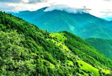 جنگل های دیزمار آذربایجان شرقی ثبت جهانی شد
