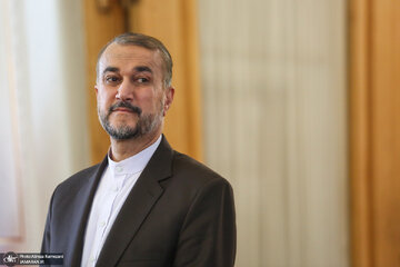 دفتر حافظ منافع ایران درمصر:دیدار وزرای خارجه ایران و مصر،گام مهمی در تقویت همگرایی درمنطقه است