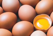وجود لکه‌های قرمز و قهوه‌ای در تخم‌مرغ نشانه چیست؟/ عکس