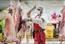 وعده عجیب وزارت جهادکشاورزی درباره کاهش شدید قیمت گوشت/ پیمان‌پاک: گوشت قرمز به قیمت سال گذشته برمی‌گردد