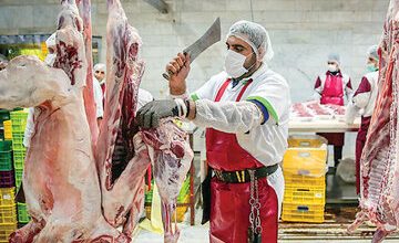 وعده عجیب وزارت جهادکشاورزی درباره کاهش شدید قیمت گوشت/ پیمان‌پاک: گوشت قرمز به قیمت سال گذشته برمی‌گردد