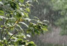 پیش‌بینی افزایش بارش‌ها از نیمه‌ دوم مهر در کشور