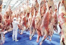 گوشت گوسفندی کیلویی ۲۸۲ هزار تومان شد/ جزییات تغییر قیمت
