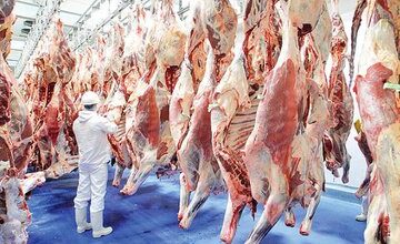گوشت گوسفندی کیلویی ۲۸۲ هزار تومان شد/ جزییات تغییر قیمت