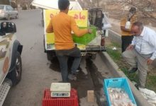 ساماندهی دستفروشان سطح شهر در آستانه عید نوروز 