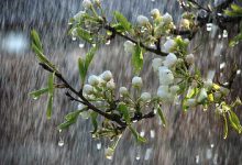 پیش‌بینی وضعیت دما و بارش کشور تا نیمه خرداد
