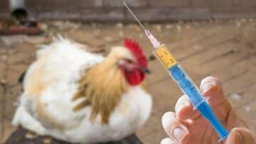 ۷۱۳هزار دوز واکسن رایگان در قزوین توزیع شد