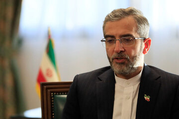 باقری کنی خواستار اجرای سریع دستورات دیوان بین‌المللی شد
