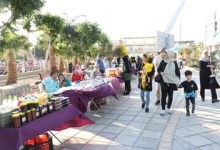 جشنواره گردشگری نعنا در سمنان برگزار شد