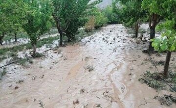 خسارت ۳۴۵ملیاردی سیلاب به بخش کشاورزی قزوین