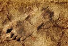ردپای ۲۳ هزار ساله تاریخ آمریکا را بازنویسی کرد!