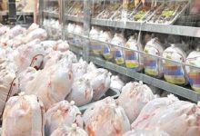 صادرات ۱۵۰تن گوشت مرغ از قزوین به کشور عراق