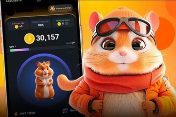خوش رقصی کاربران در انتظار شاباشهای همستر/تلگرام چک کشید؛ بدونتاریخ بدون امضا!