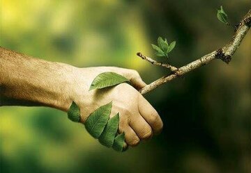 بحثهای محیطزیستی پزشکیان ناکافی است/ محیطزیست در حاشیه دولت مدنظر جلیلی/ هنوز نپذیرفتهاند مهمترین مسئله کشور در حال حاضر محیطزیست است