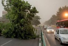 هشدار هواشناسی برای این ۱۱ استان