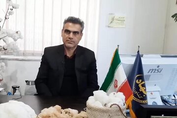 گلستان رتبه دوم تولید چغندر قند پاییزه کشور