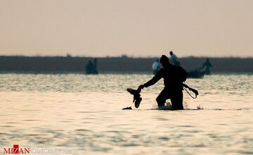 خط و نشان سازمان محیط زیست برای فعالیت آشوراده