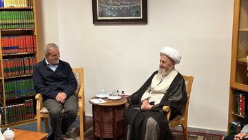 آیت الله سبحانی: حل مشکلات کشور با تعقل و تدبیر امکان‌پذیر است/ پزشکیان: شاهد برخی نارضایتی‌ها هستیم