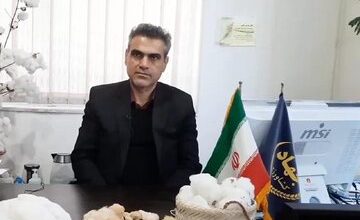 کشت قراردادی چغندر قند در گلستان ۲ برابر شد