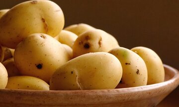 این گیاه سرشار از ویتامین C و B است، کلسترول هم کاهش می‌دهد